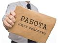 Координатор по организационным вопросам