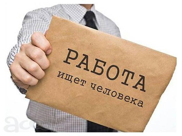 Координатор по организационным вопросам