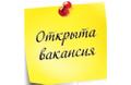 Удалённая работа (совмещение)